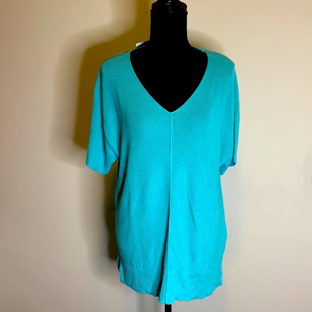 BNWT Talbots Plus Size X sweater